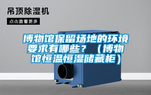 博物館保留場地的環境要求有哪些？（博物館恒溫恒濕儲藏柜）