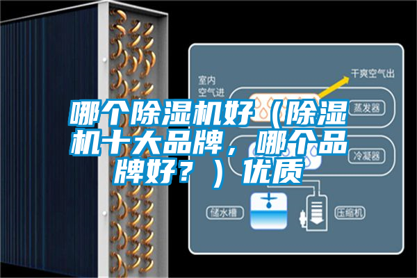 哪個(gè)除濕機(jī)好（除濕機(jī)十大品牌，哪個(gè)品牌好？）優(yōu)質(zhì)