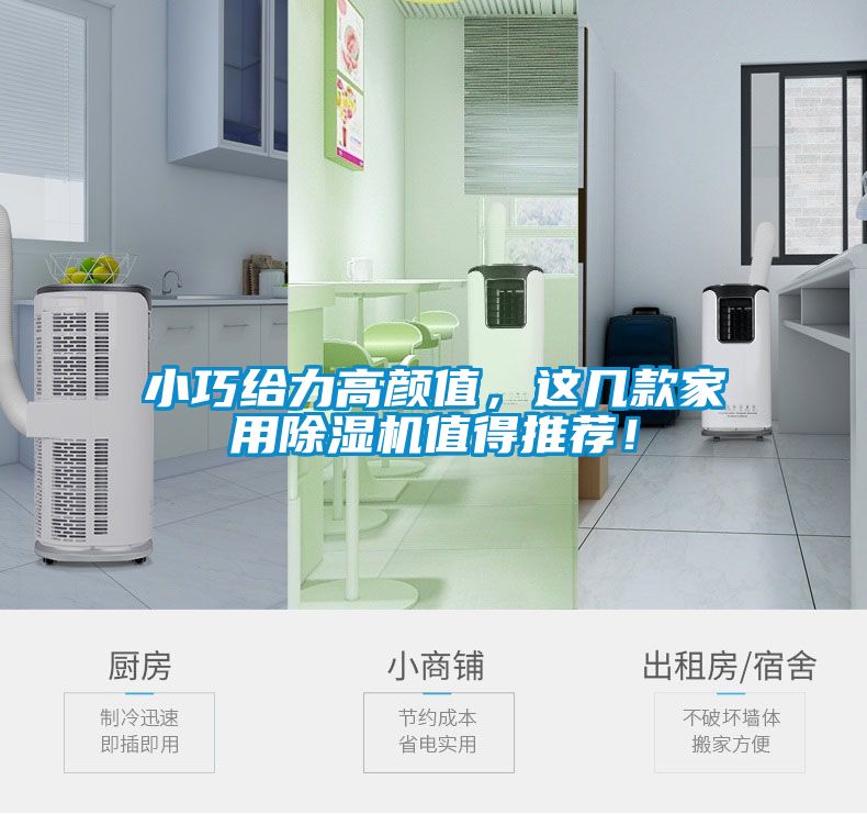 小巧給力高顏值,這幾款家用除濕機(jī)值得推薦!