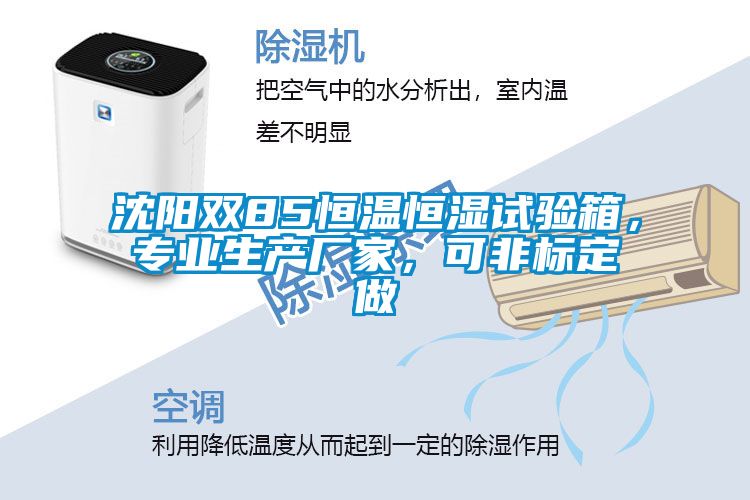 沈陽雙85恒溫恒濕試驗箱，專業生產廠家，可非標定做