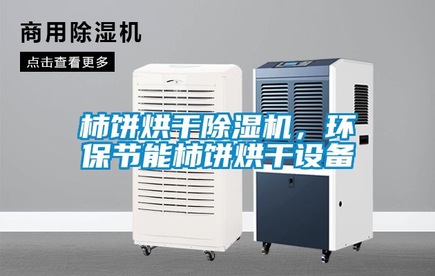 柿餅烘干除濕機(jī),環(huán)保節(jié)能柿餅烘干設(shè)備