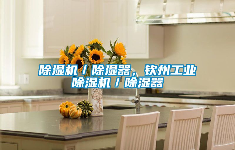 除濕機/除濕器,欽州工業除濕機/除濕器