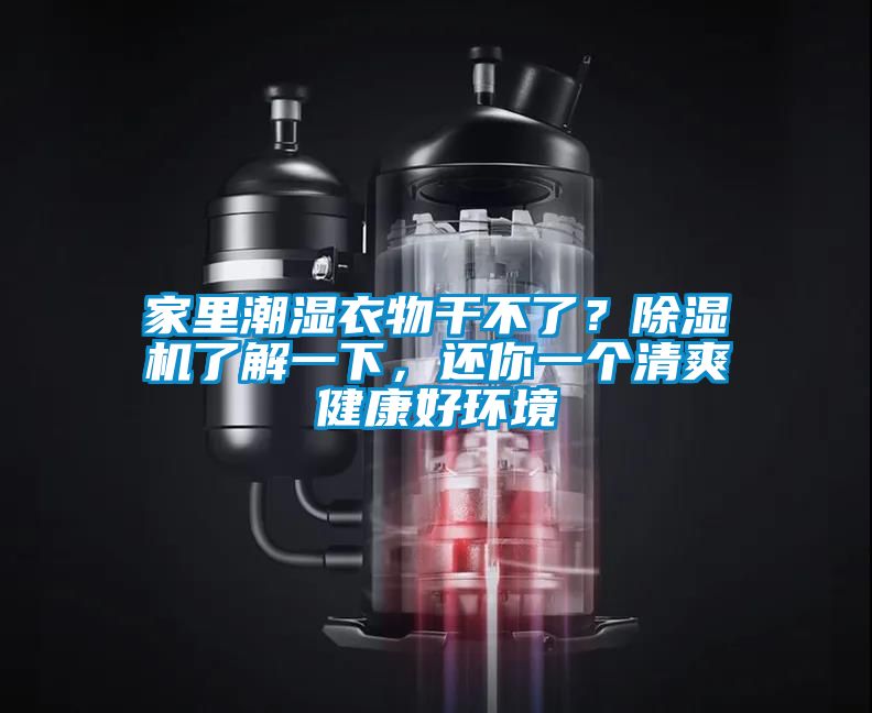 家里潮濕衣物干不了？除濕機了解一下，還你一個清爽健康好環境