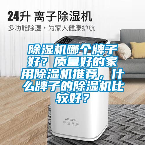 除濕機哪個牌子好？質量好的家用除濕機推薦，什么牌子的除濕機比較好？