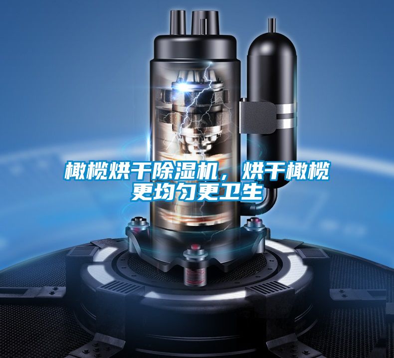 橄欖烘干除濕機(jī)，烘干橄欖更均勻更衛(wèi)生