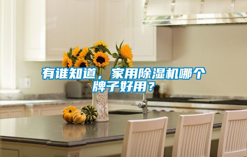 有誰知道,家用除濕機哪個牌子好用?