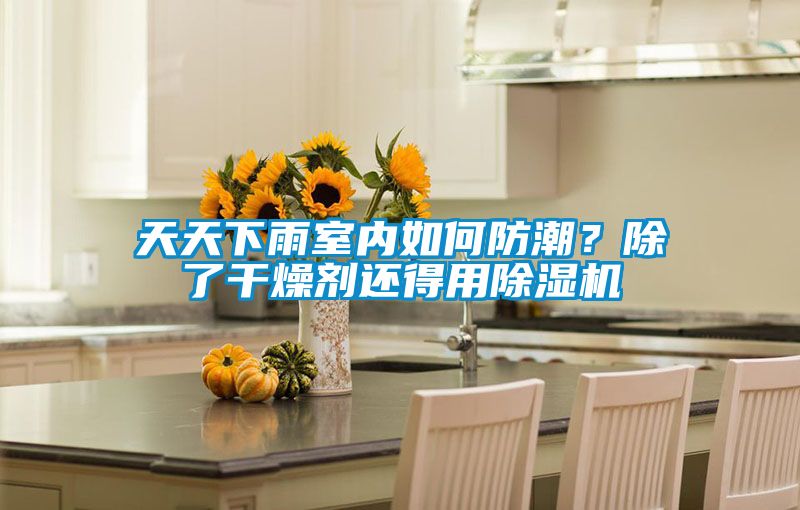 天天下雨室內如何防潮？除了干燥劑還得用除濕機