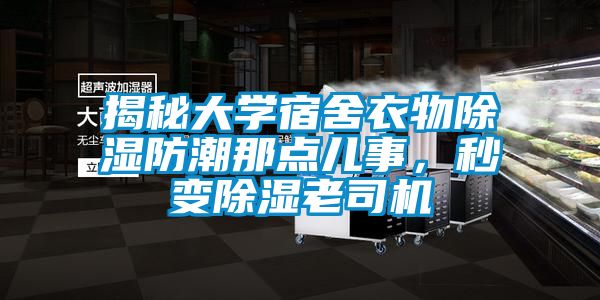 揭秘大學宿舍衣物除濕防潮那點兒事，秒變除濕老司機