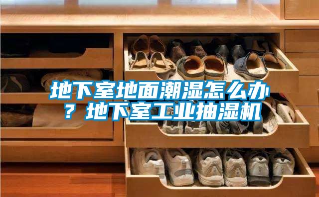 地下室地面潮濕怎么辦?地下室工業(yè)抽濕機(jī)