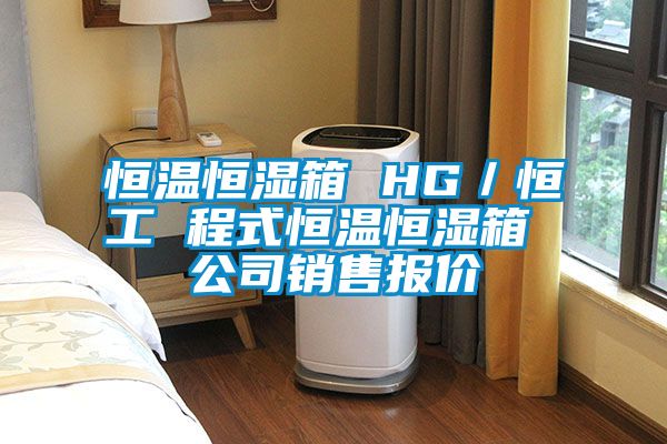 恒溫恒濕箱 HG/恒工 程式恒溫恒濕箱 公司銷售報價