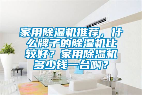 家用除濕機推薦，什么牌子的除濕機比較好？家用除濕機多少錢一臺?。?/></p>
						    <p style=