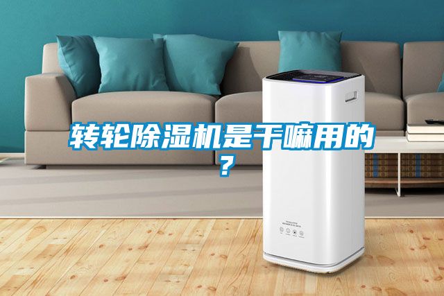 轉輪除濕機是干嘛用的？