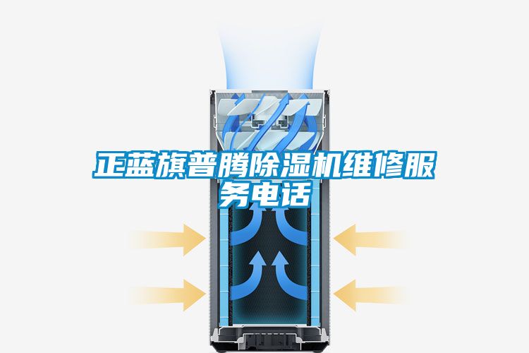 正藍(lán)旗普騰除濕機(jī)維修服務(wù)電話