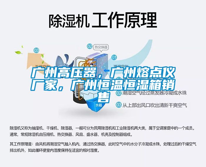 廣州高壓器,廣州熔點(diǎn)儀廠家,廣州恒溫恒濕箱銷售