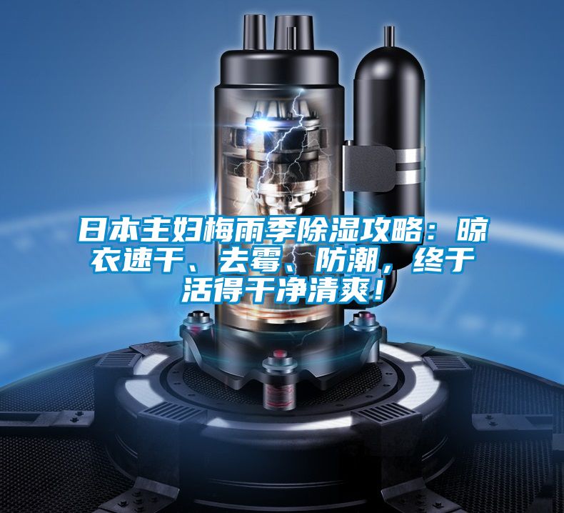 日本主婦梅雨季除濕攻略：晾衣速干、去霉、防潮，終于活得干凈清爽！