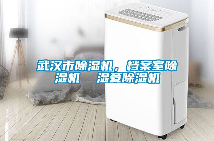 武漢市除濕機(jī),檔案室除濕機(jī) 濕菱除濕機(jī)