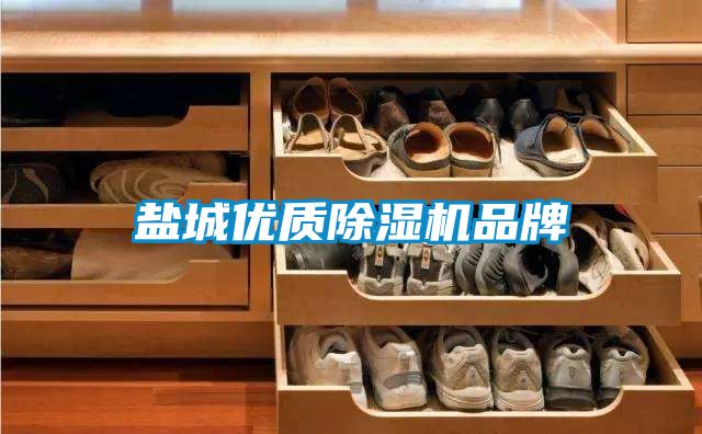 鹽城優(yōu)質除濕機品牌