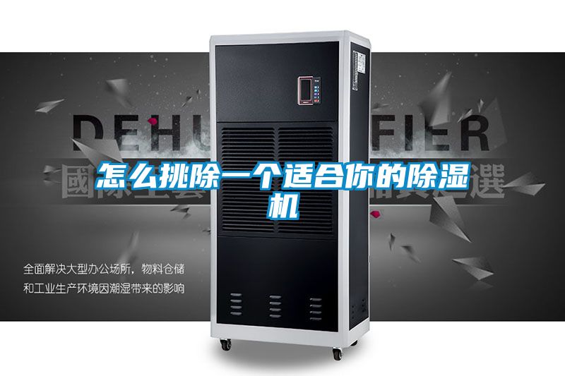 怎么挑除一個適合你的除濕機(jī)