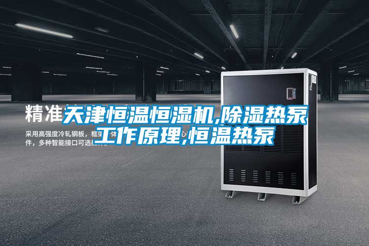 天津恒溫恒濕機(jī),除濕熱泵工作原理,恒溫?zé)岜?/></p>
						    <p style=