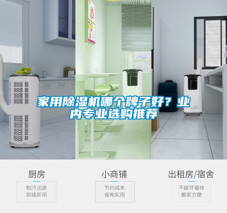 家用除濕機哪個牌子好？業(yè)內(nèi)專業(yè)選購?fù)扑]