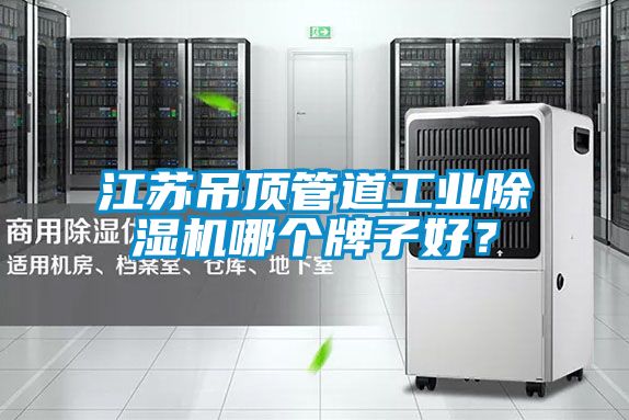 江蘇吊頂管道工業(yè)除濕機(jī)哪個(gè)牌子好？