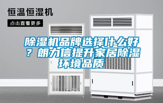 除濕機品牌選擇什么好？朗力信提升家居除濕環境品質