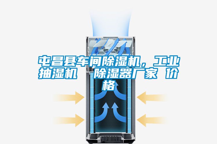 屯昌縣車間除濕機，工業抽濕機  除濕器廠家 價格