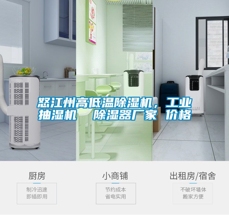 怒江州高低溫除濕機(jī)，工業(yè)抽濕機(jī)  除濕器廠家 價(jià)格