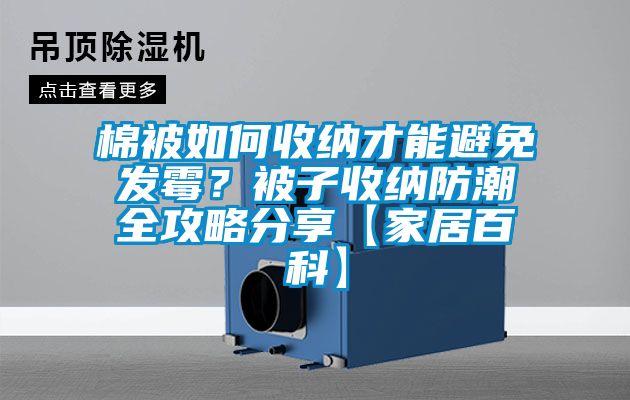 棉被如何收納才能避免發霉？被子收納防潮全攻略分享【家居百科】