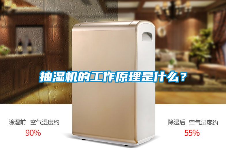 抽濕機(jī)的工作原理是什么？