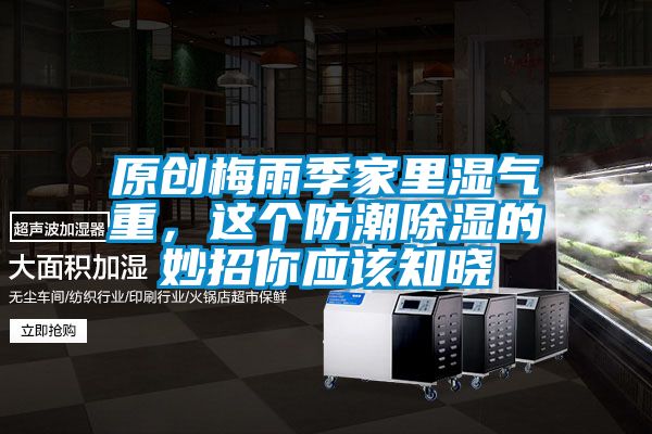 原創(chuàng)梅雨季家里濕氣重，這個防潮除濕的妙招你應該知曉