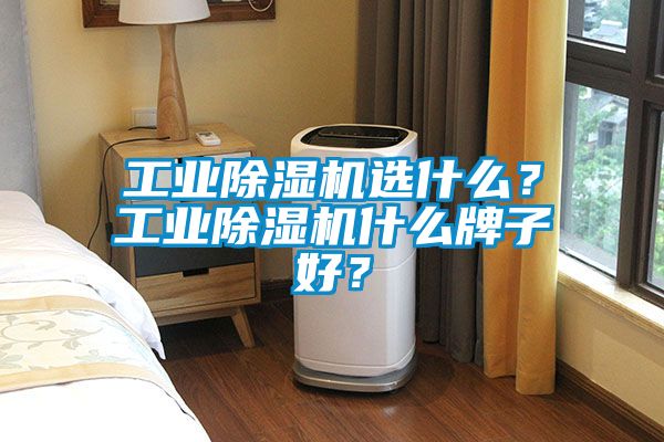 工業(yè)除濕機(jī)選什么?工業(yè)除濕機(jī)什么牌子好?