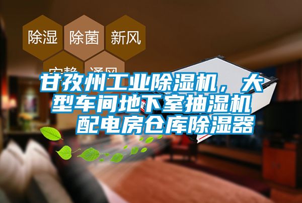 甘孜州工業(yè)除濕機,大型車間地下室抽濕機 配電房倉庫除濕器
