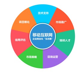 網(wǎng)絡(luò)技術(shù)驅(qū)動(dòng)下的App開發(fā) 機(jī)遇與挑戰(zhàn)并存