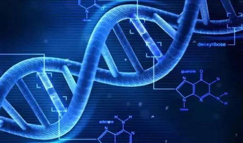 共筑藍海，智創未來 小天使控股集團以網絡技術賦能大健康產業創新